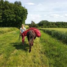 Le petit bonheur 21 - randonnée avec ânes © Esther Vuillermet